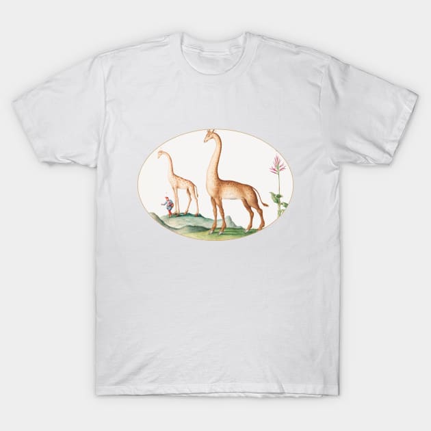 Two Giraffes with an Attendant (1575–1580) T-Shirt by WAITE-SMITH VINTAGE ART